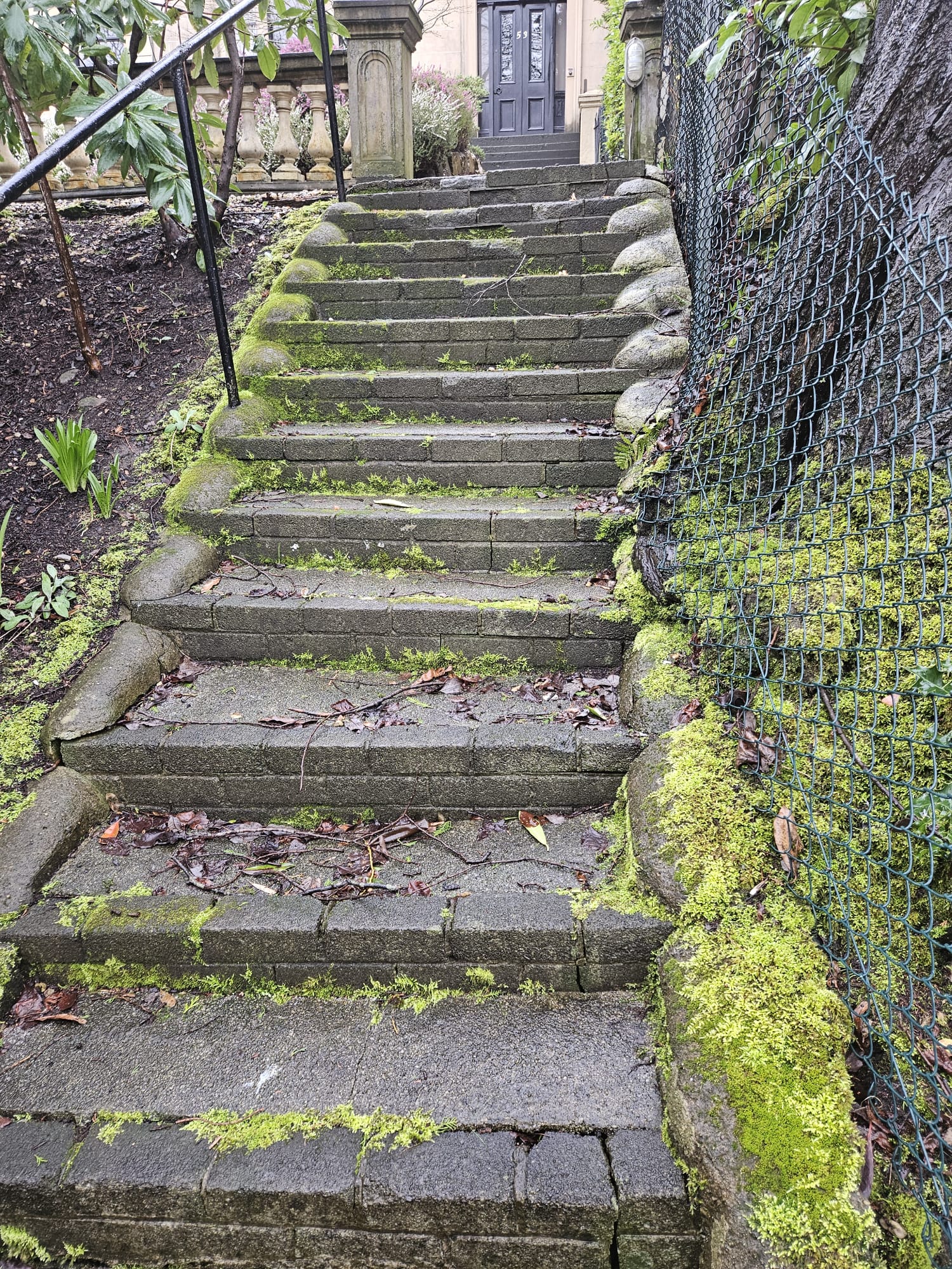 Stone Steps: View 3 - before